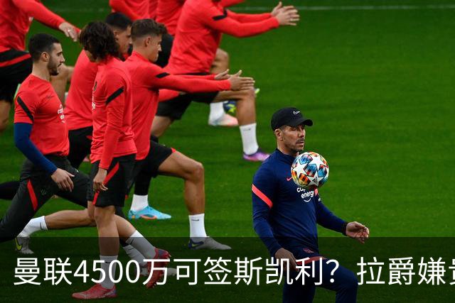 曼联4500万可签斯凯利？拉爵嫌贵已拒绝！但红魔仍未放弃追求霍尔